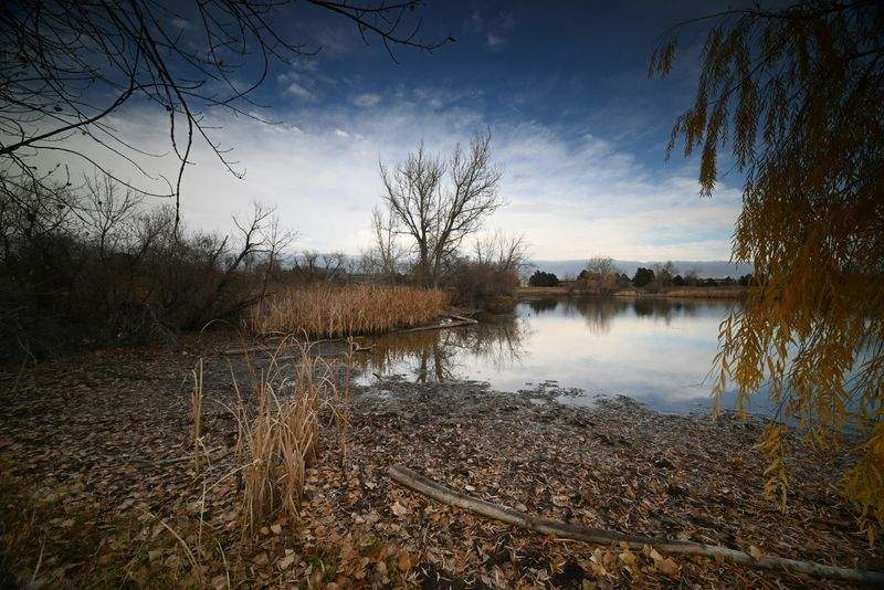 自然エネルギーへの移行