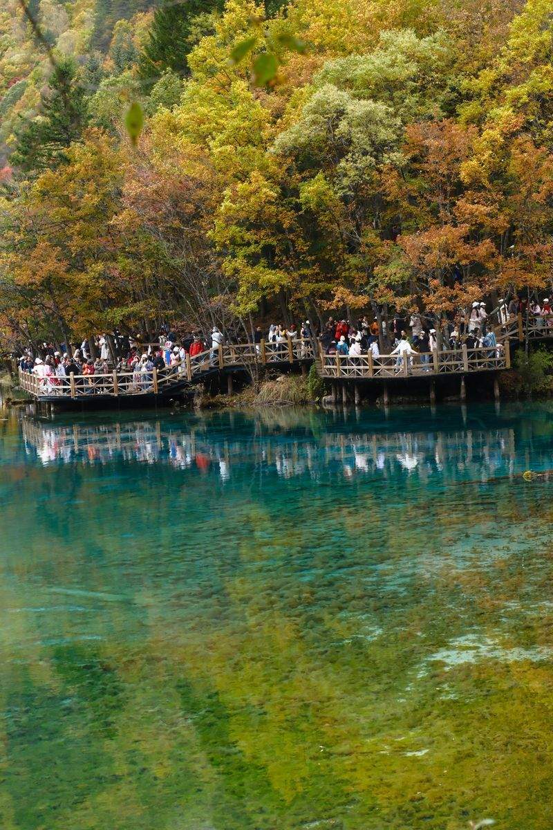 グリーンフューチャー株式会社 - Image 11