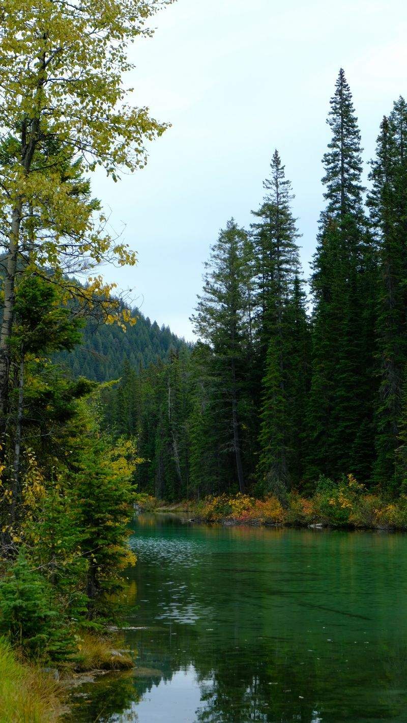 グリーンフューチャー株式会社 - Image 2