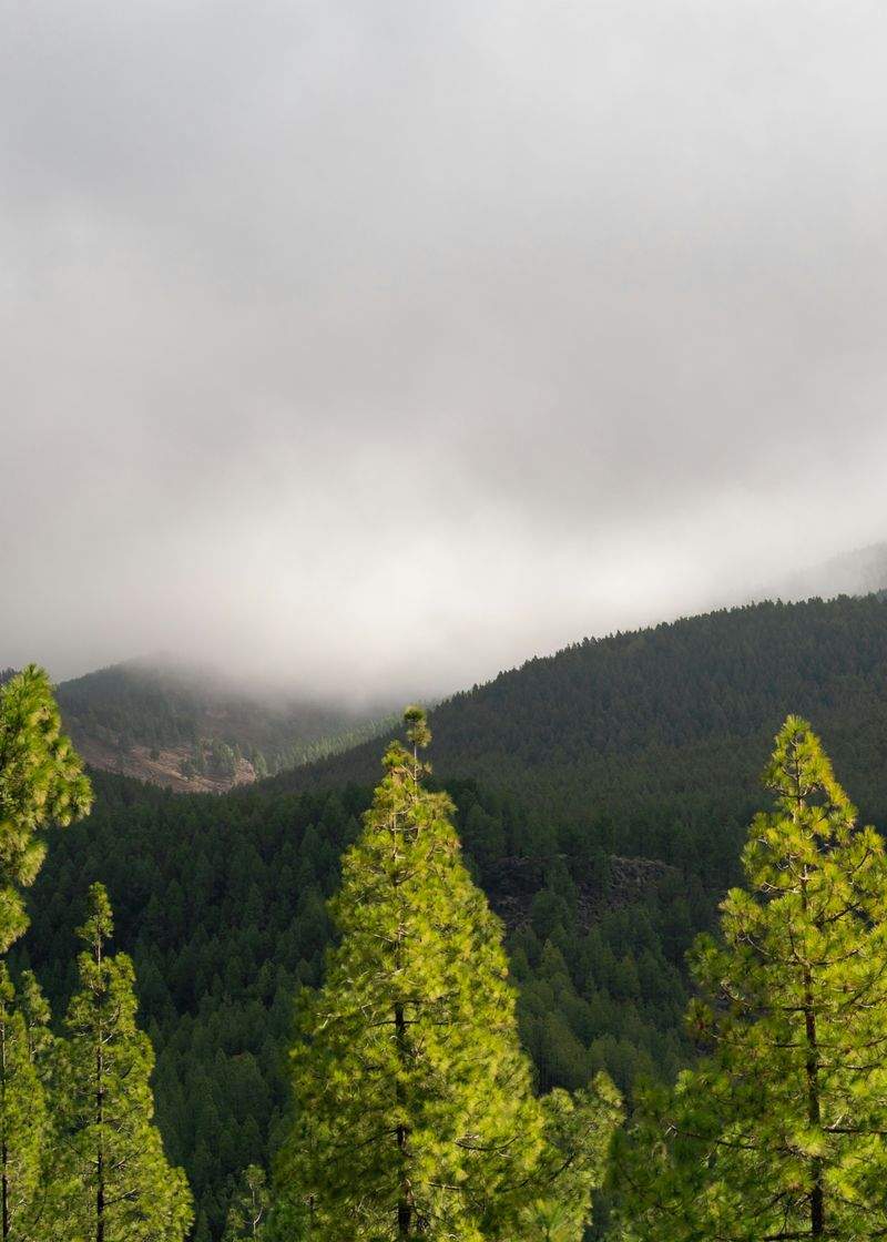 グリーンフューチャー株式会社 - Image 4