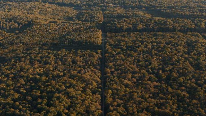 グリーンフューチャー株式会社 - Image 6