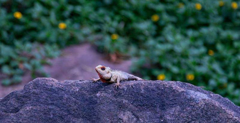 グリーンフューチャー株式会社 - Image 9