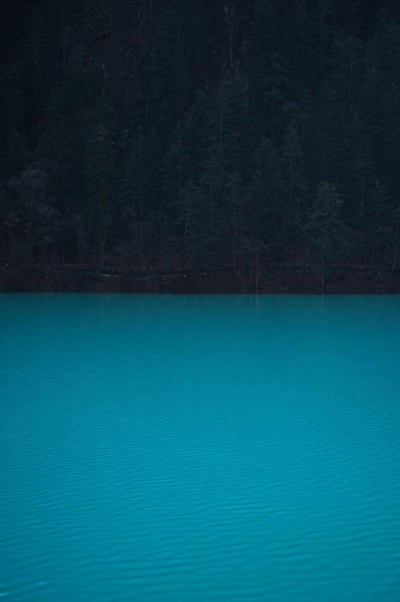 省エネコンサルティング